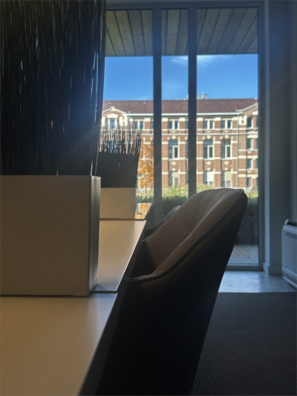 Natuurlijk licht en planten bij Cology Office